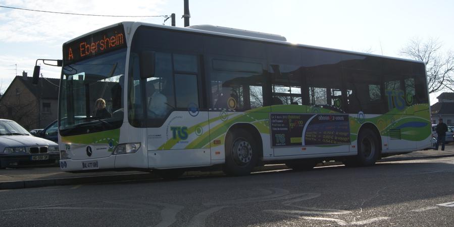 Bus TIS